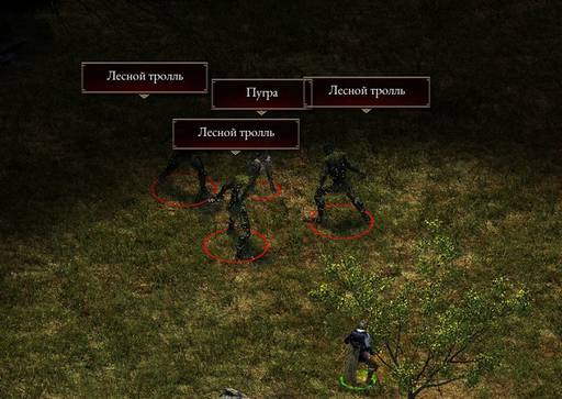 Pillars of Eternity - «Pillars of Eternity»  - впечатления нуба.